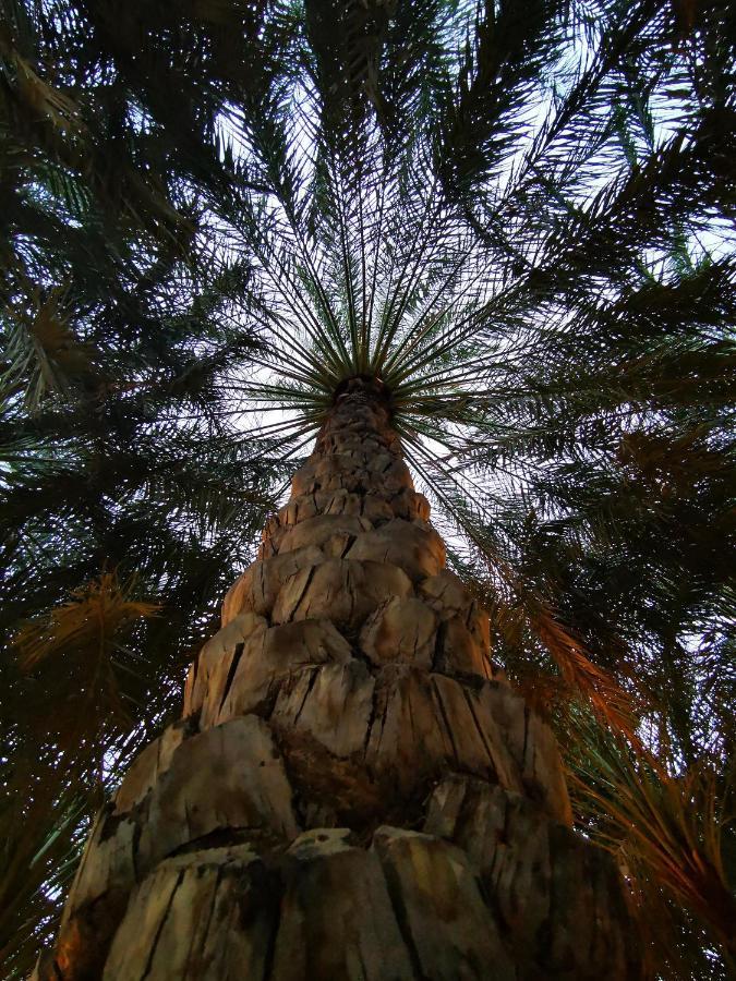 Alberi Lodge Hatta Eksteriør bilde